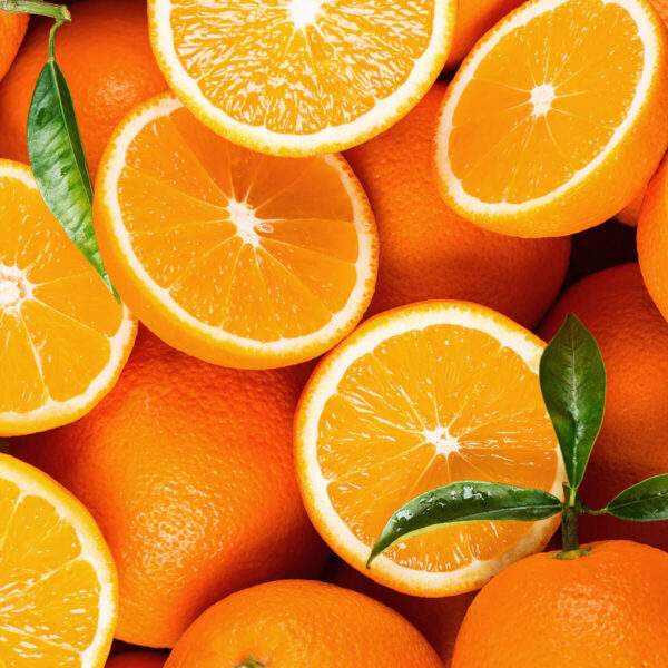 Quore WebsitePic TequilaSunrise Orange 1200
